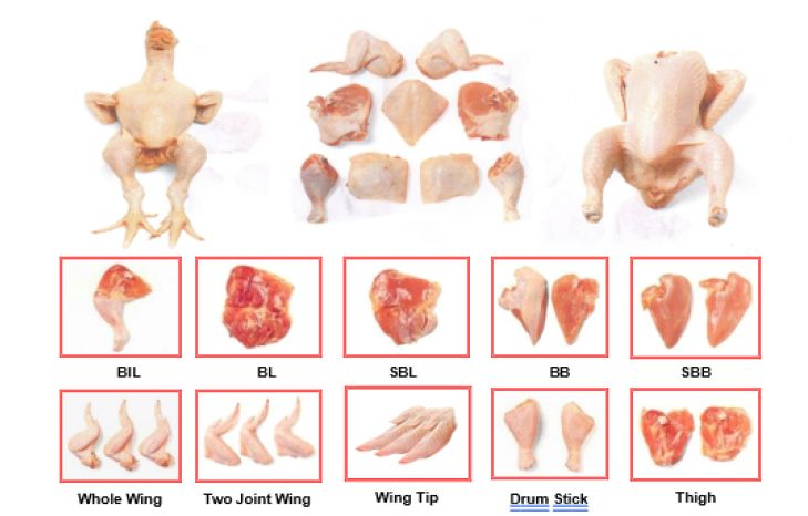 ชิ้นส่วนไก่ทั้งตัว